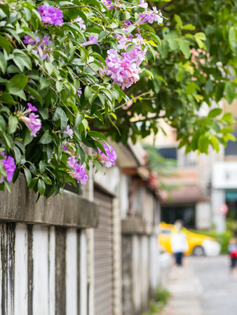 vintage brick wall in Tamsui, New Taipei City, Taiwanの写真素材