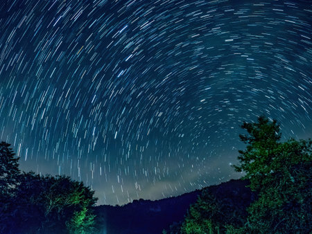 Blue dark night sky with many stars above field of trees.の写真素材