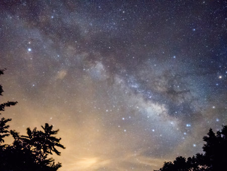 Blue dark night sky with many stars above field of trees.の写真素材