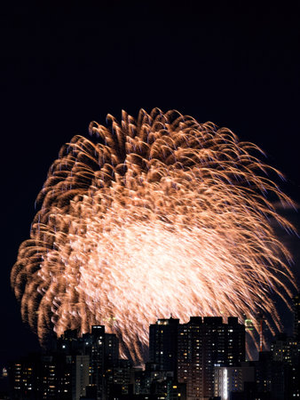 Fireworks in the city at night time.