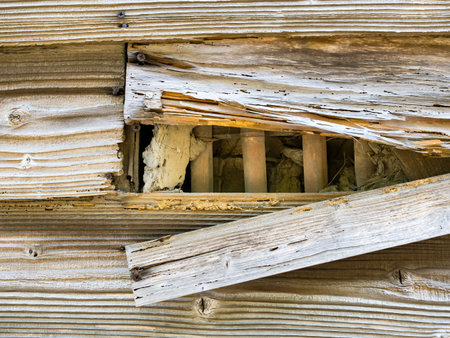 Rusted Nail, Weathered Boards of an Abandoned Barn with Cracked Wooden Planks
