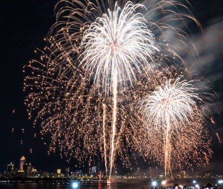 Summer fireworks in Taipei,Taiwan.の写真素材