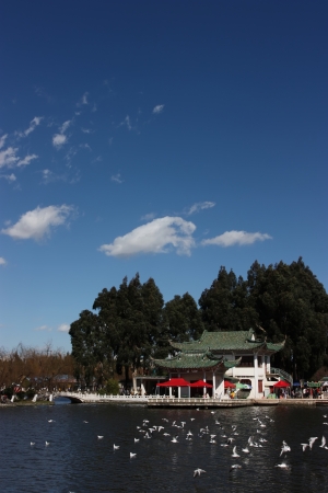 public gardenの写真素材