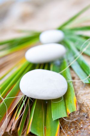Three white stones on the beach in summer day on green leafの写真素材