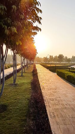 beautiful sunset in the parkの写真素材