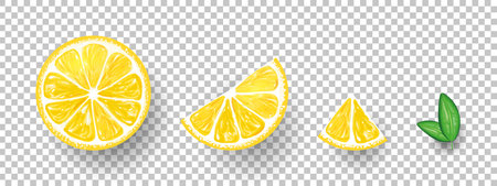 Lemons. Fresh citrus, half sliced lemons and chopped lemon. Vector illustrationのイラスト素材