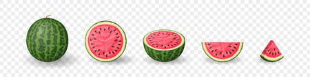 Watermelon set. Set of fruits. Summer fruit collection on transparent background. Vector illustrationのイラスト素材