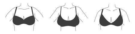 Different types of bras. Collection of lingerie. Vector silhouettes of female underwearのイラスト素材