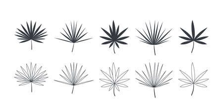 Tropical green palm leaves. Set of leaves icons linear and flat style. Vector illustrationのイラスト素材