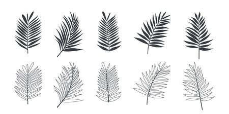 Tropical leaves. Palm leaves. Set of leaves icons linear and flat style. Vector illustrationのイラスト素材