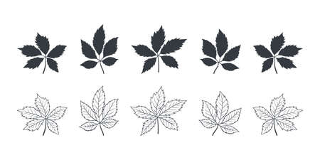 Leaves icon. Tree leaves of different types in autumn and summer. Vector illustrationのイラスト素材