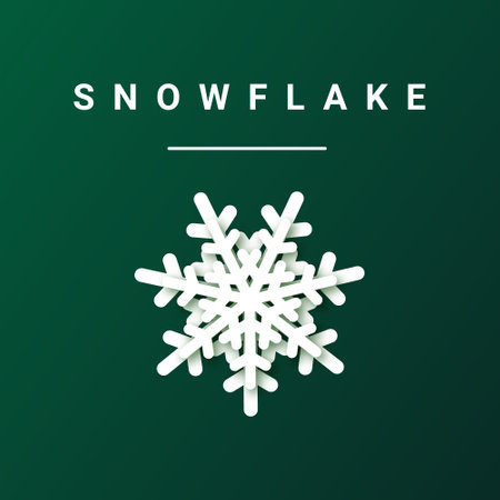 Snowflake icon with shadow. Snowflake in a modern paper style. Christmas Elements. Vector illustrationのイラスト素材