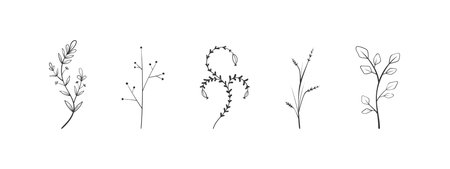 flower elements. Twigs with leaves and flowers. hand drawn floral elements. vector illustrationのイラスト素材