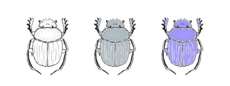 Sacred scarab. Hand drawn sketched Beetle. Doodle beetles. vector illustration