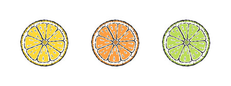 Doodle lemons. Lemon lime and orange. Drawn fruits. vector illustrationのイラスト素材