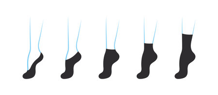Types of women's socks. Set with various forms of socks. Garment icons. vector illustrationのイラスト素材