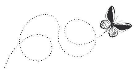 Butterfly flight trail. Painted butterfly. flying butterfly. vector scalable graphicsのイラスト素材