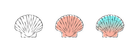 Seashells sketch. Scallop images. Shells are hand drawn. Vector scalable graphics