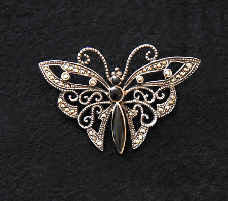 silver butterfly mounted in broochの写真素材