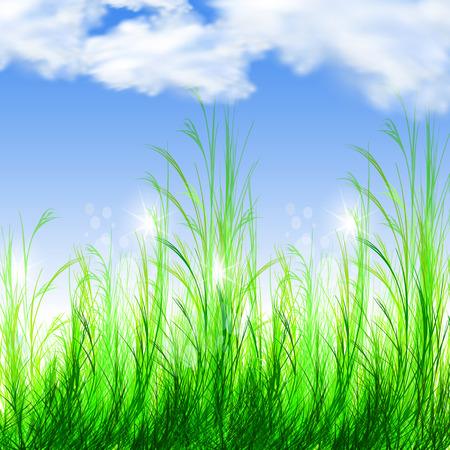 Summer holiday poster illustration backgroundのイラスト素材