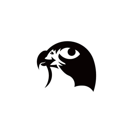 bird eagle falcon animal feather vector logoのイラスト素材