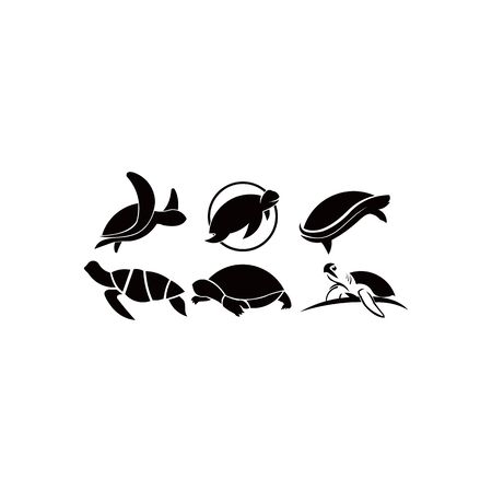 animal Turtle icon vector, filled flat sign, solid pictogram isolated on white. Symbol, logo illustrationのイラスト素材