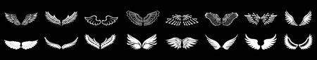 Wings icons set. Simple set of wings vector icons for Logo Style Wingsのイラスト素材
