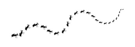 A line of worker ants marching in search of food.Worker ants marching in a line. ants road Vector illustrationのイラスト素材