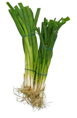 2 bunches of fresh green onionsの写真素材