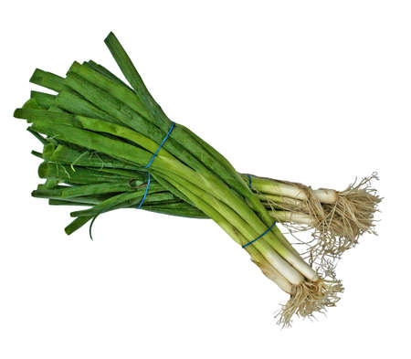 2 bunches of fresh green onionsの写真素材