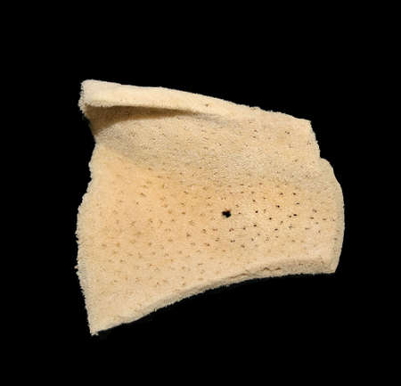 a piece of natural sea sponge skeletonの写真素材