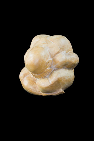 Siddartha Buddha after witnessing the travails of other humansの写真素材