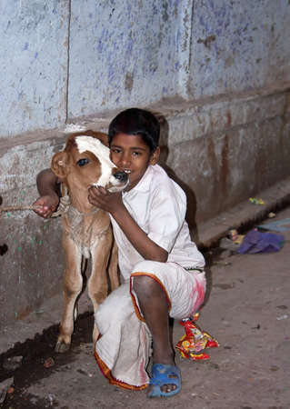 Young boy and his calf - Indiaのeditorial素材