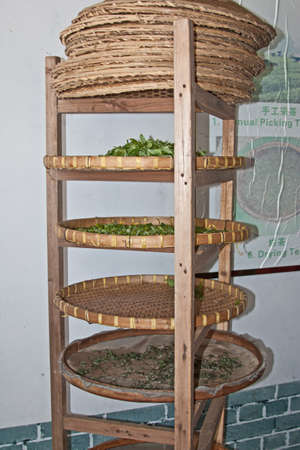 Drying rack for tea leaves, Guilin, Chinaの写真素材