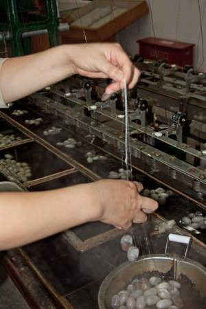 pulling leading silk thread for spinningの写真素材