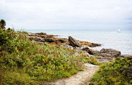 scene from the shore of the Atlantic Ocean in Mexicoの写真素材