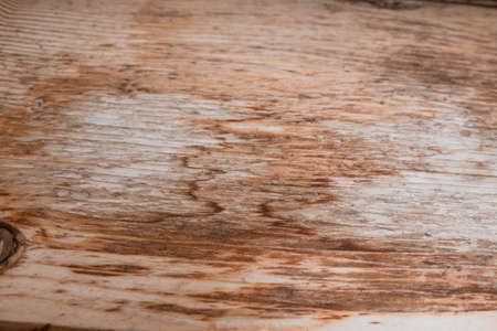 Incredibly beautiful background and wood textureの写真素材
