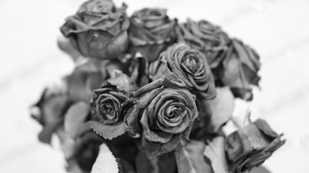 A beautiful, slightly fading, but fragrant-smelling bouquet of roses.