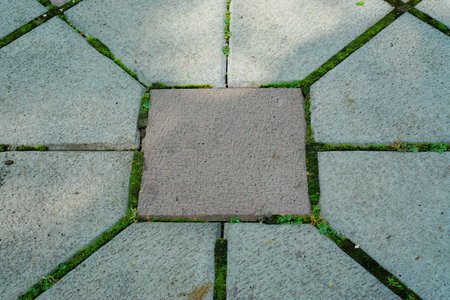 Paving slabs in the park. close-up view.の写真素材