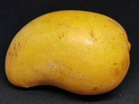 A picture of ripe mango ready to eat on a black backgroundの写真素材