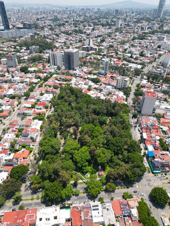 Vertical View: Stunning Aerial Image of Silvano Barba Park