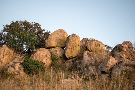 Detailed view of rugged rock formations surrounded by grass and vegetation at El Diente, Zapopan, Jalisco, Mexicoの写真素材
