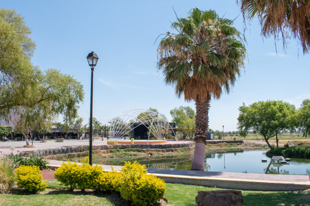Palm tree and metallic dome beside a small reflective pond at the malecon in Jamay, Jalisco, Mexico, on a sunny dayの写真素材