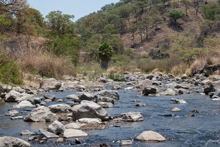 Hot River flowing through scattered rocks and dry hills in Spring Forest near Guadalajara, Mexicoの写真素材