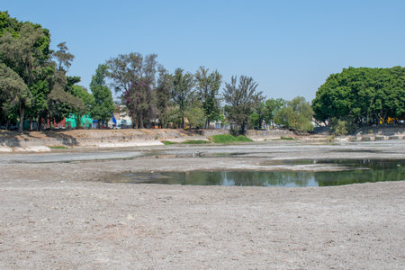 Partially dried lake with visible water patches and surrounding trees in El Dean Park Guadalajaraの写真素材