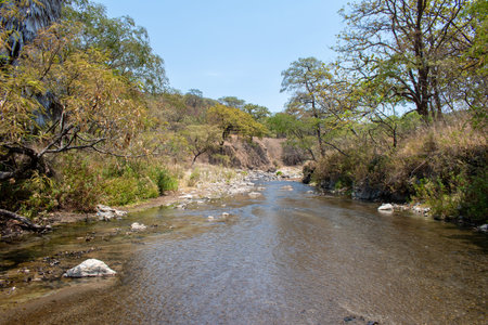 Rapid water flow over black volcanic rocks in Hot River at Spring Forest, near Guadalajara, Mexico