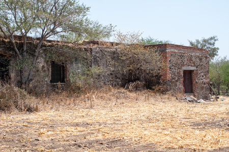 Historic stone and brick building surrounded by dry vegetation in Cocula, Jalisco, Mexicoの写真素材
