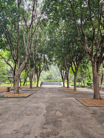 Vertical view of a tranquil path lined by lush green trees in Agua Azul Park, Guadalajara, Mexico. A modern geodesic dome is seen aheadの写真素材