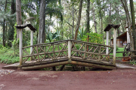 Charming wooden bridge surrounded by lush forest in Los Cazos, Mazamitla, Jalisco, perfect for nature explorationの写真素材