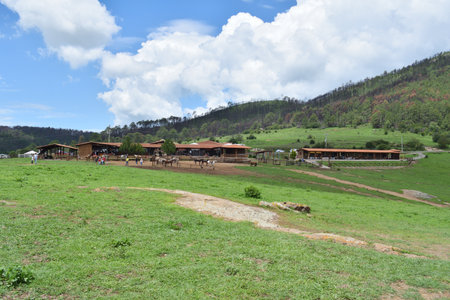 Picturesque view of rustic cabins and lush green hills at Las Piedrotas, Tapalpa, Jalisco, Mexicoの写真素材